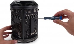 Etiam dictum egestas